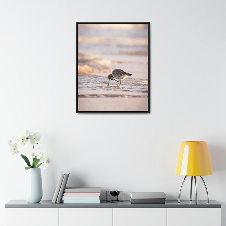 Willet Itch - Canvas with Frame