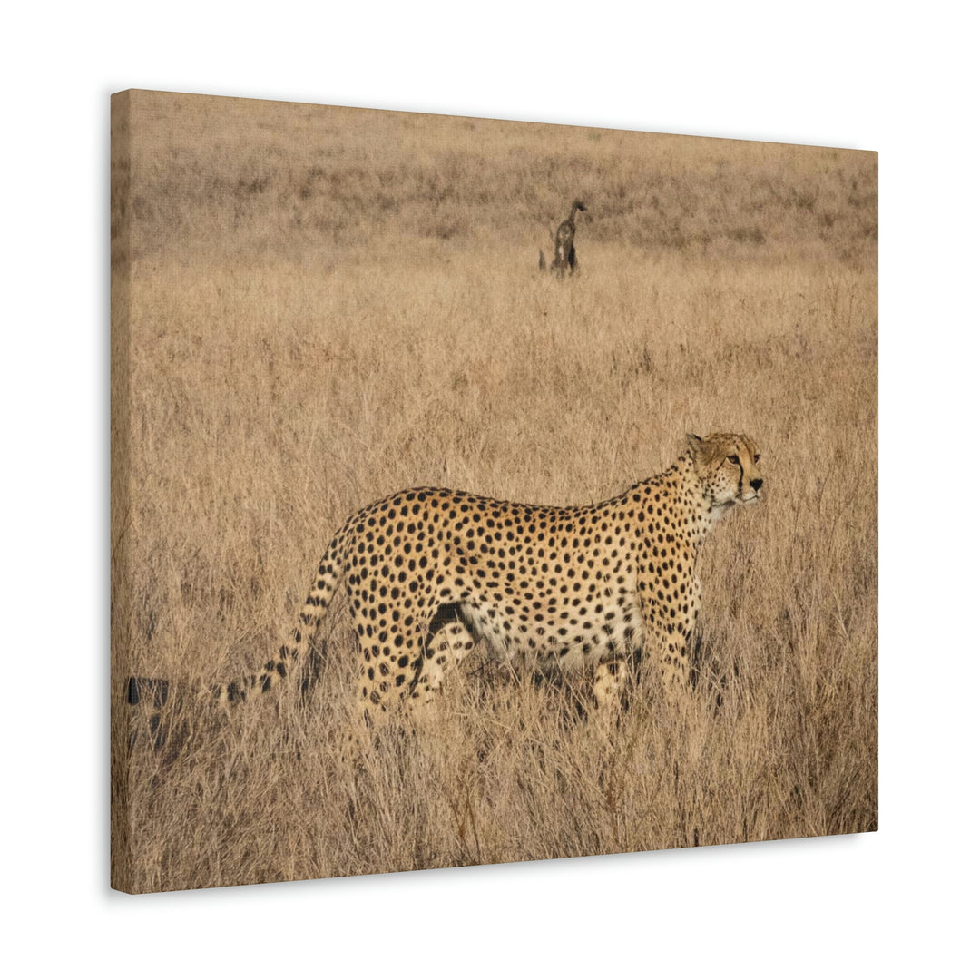 Regal Camouflage - Canvas