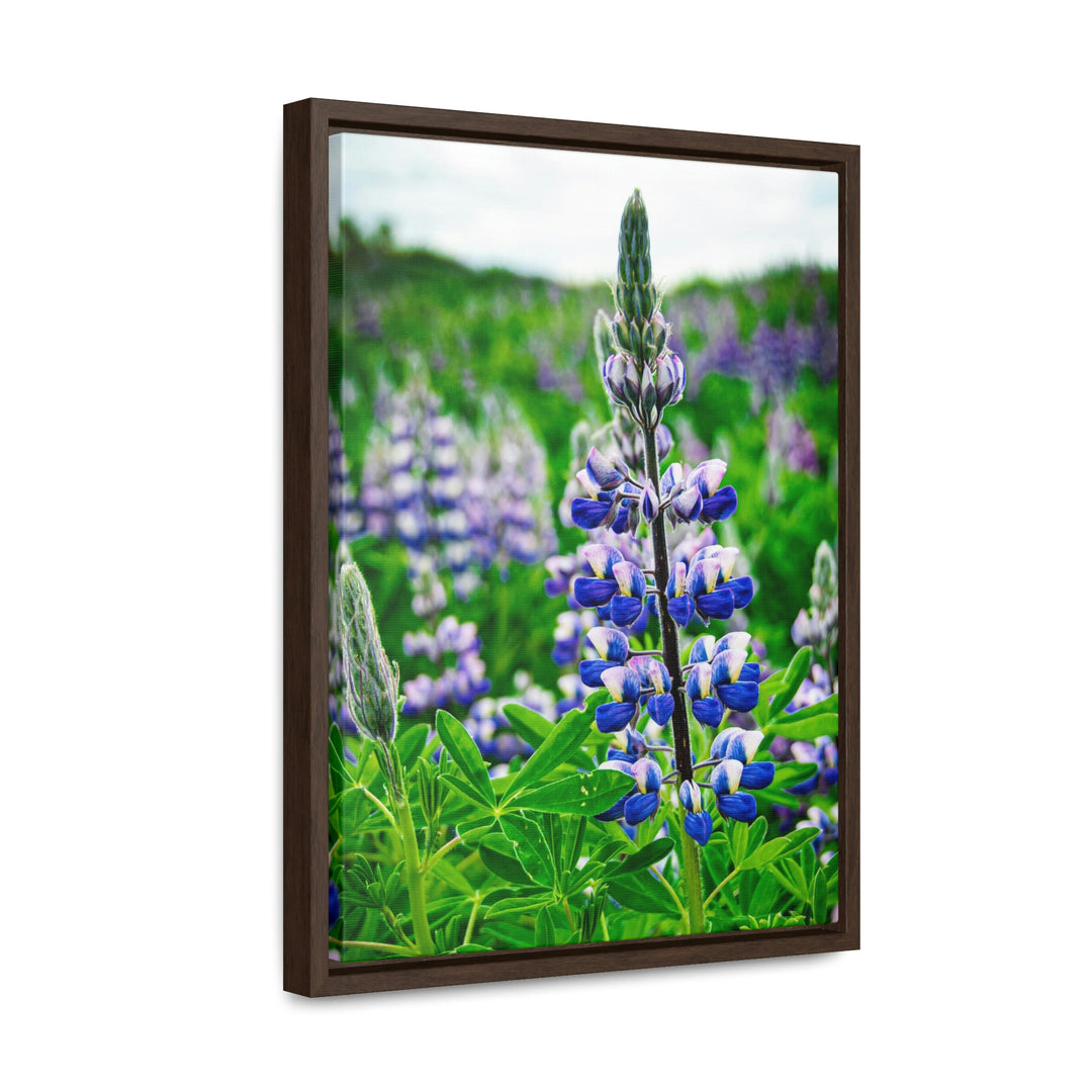 Glowing Lupin - Canvas with Frame