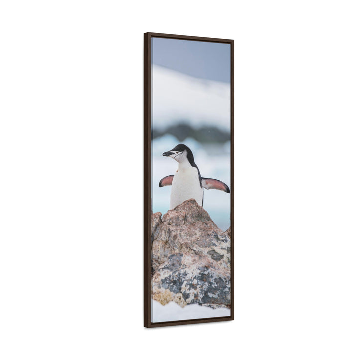 Stretched Penguin - Canvas with Frame