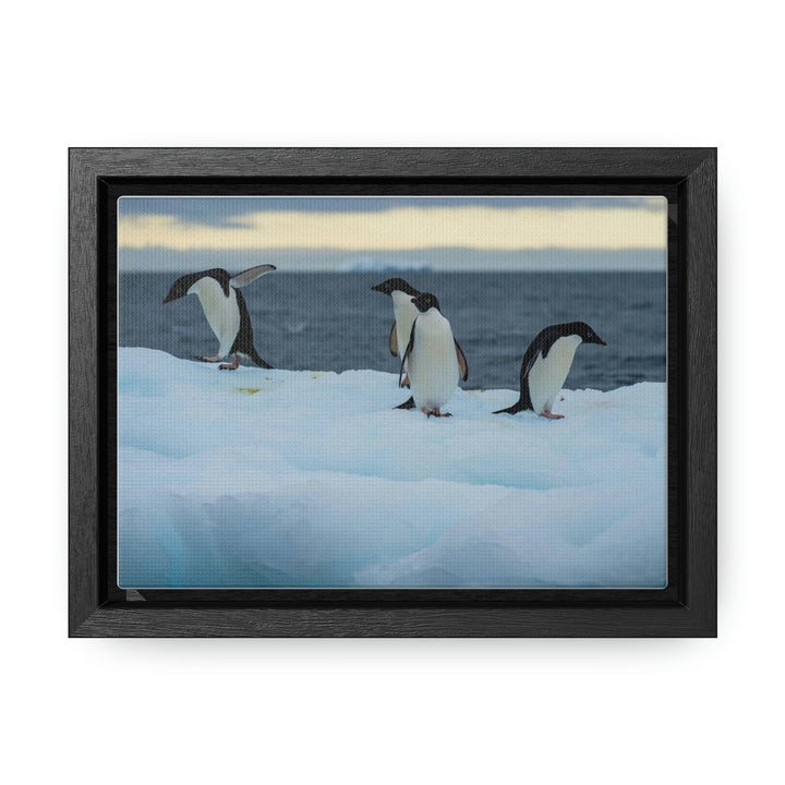 Penguin Dance - Canvas with Frame