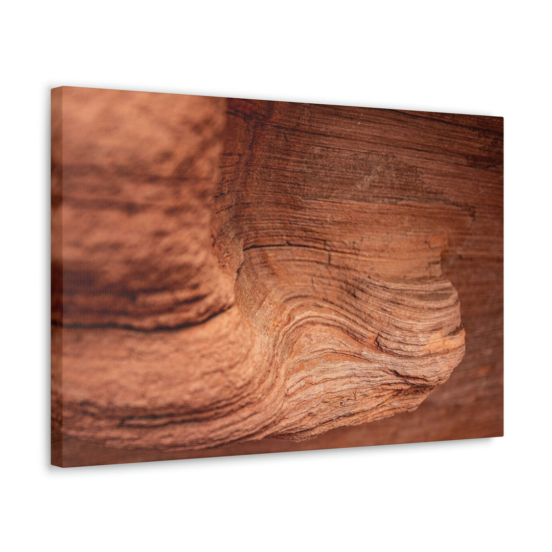 Sedimentary Rock Curves - Canvas