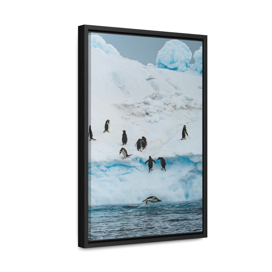 Porpoising Penguin - Canvas with Frame