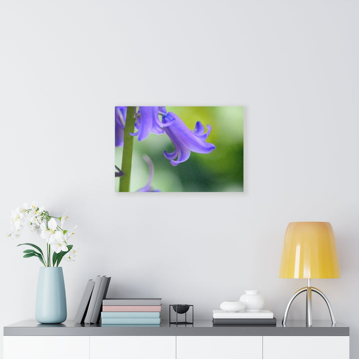 Delicate Bell - Canvas