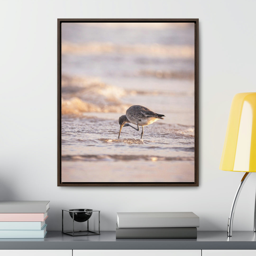 Willet Itch - Canvas with Frame