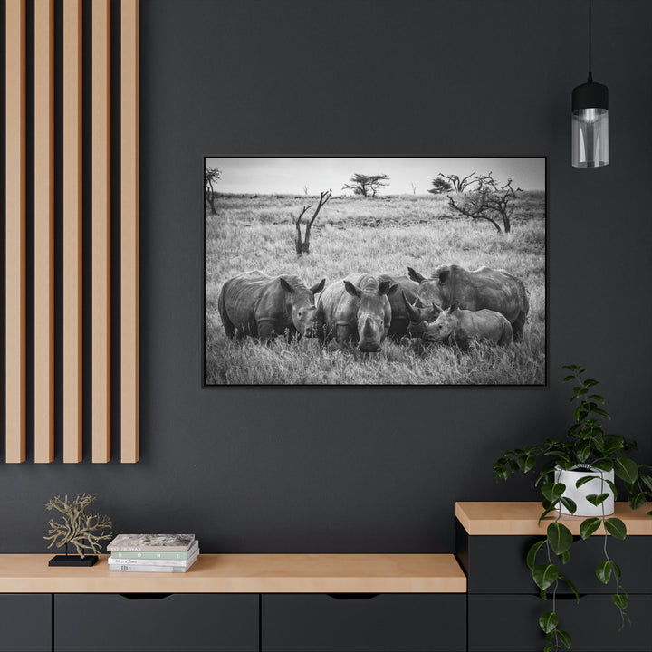 Rhino Family in Black and White - Canvas with Frame