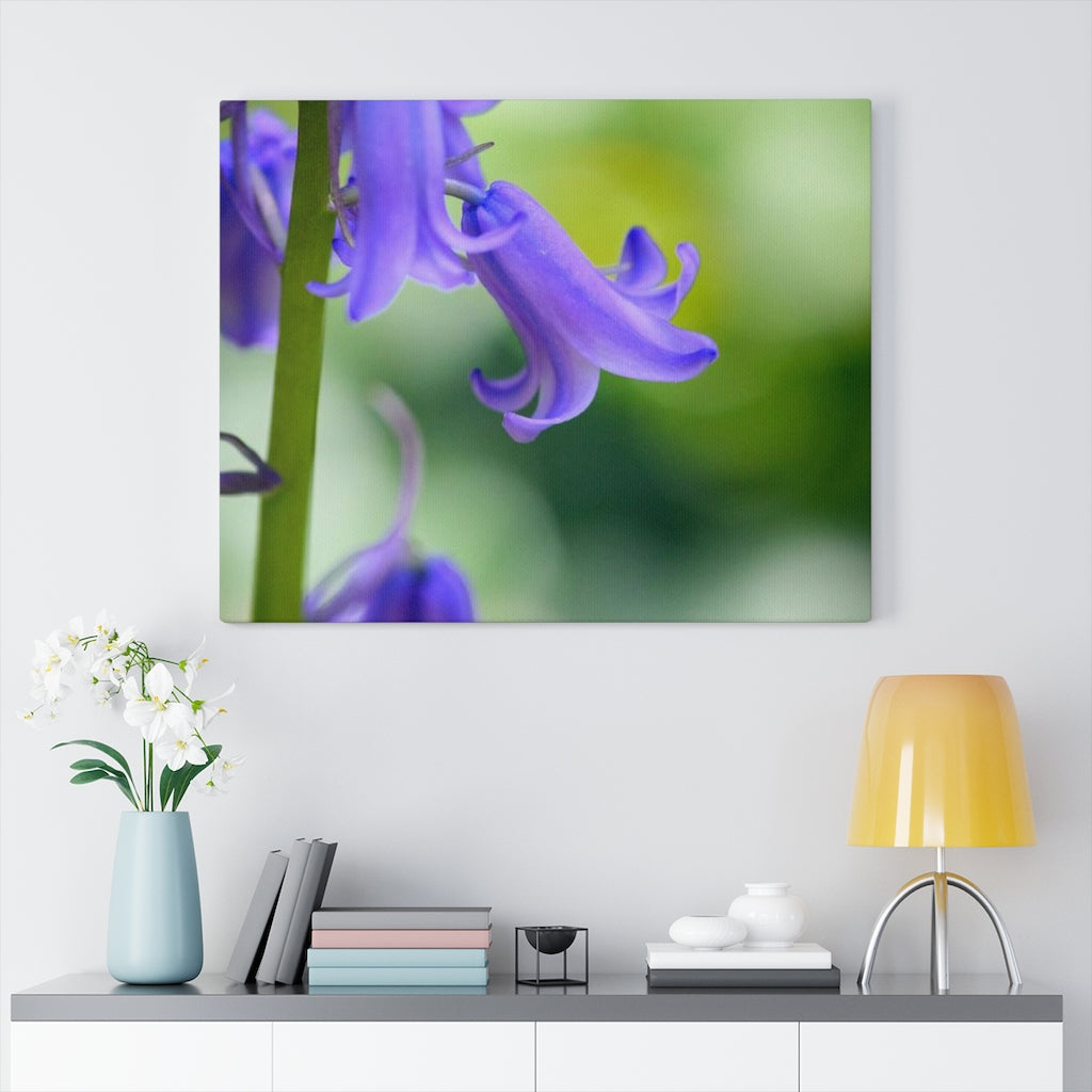 Delicate Bell - Canvas