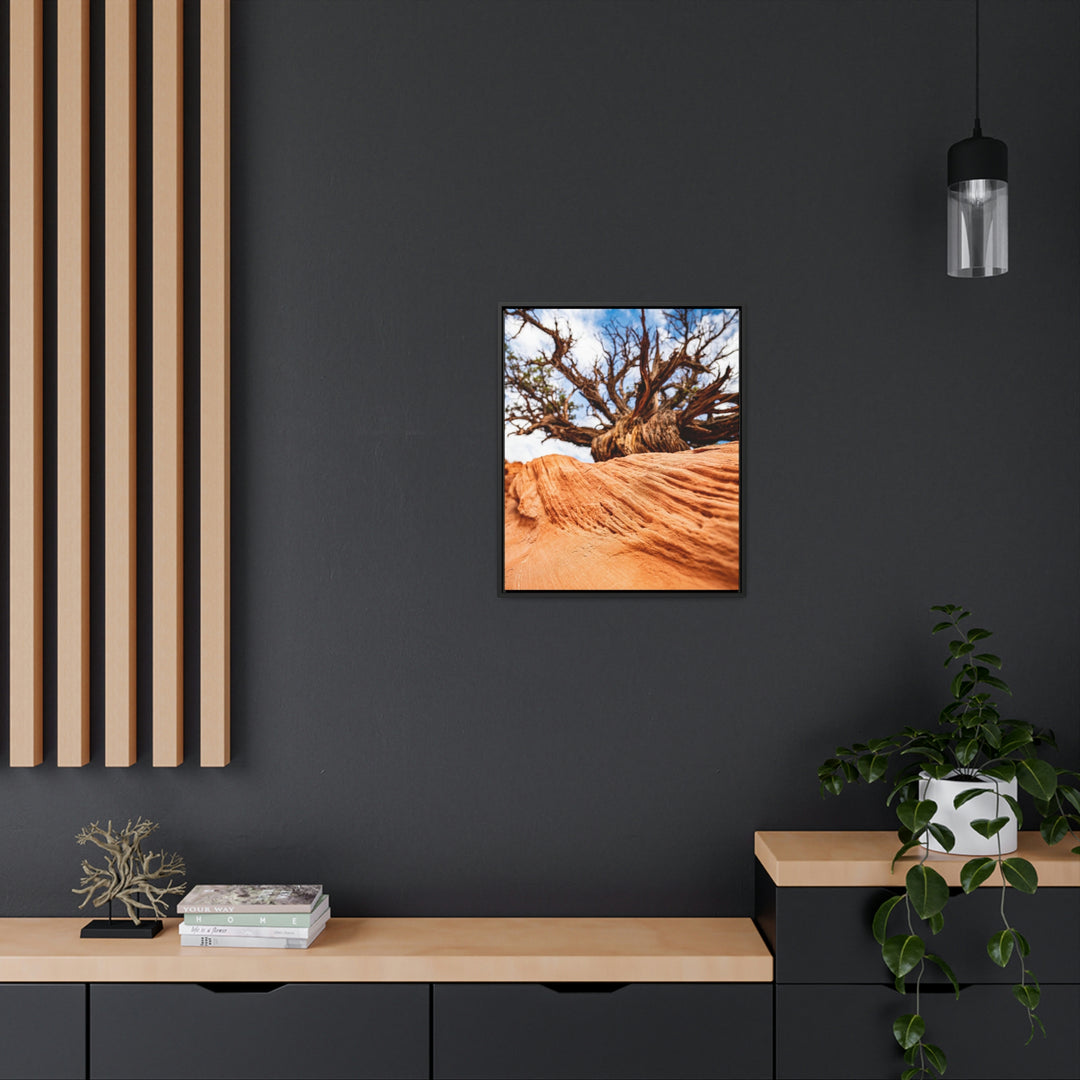 Desert Reach - Canvas with Frame