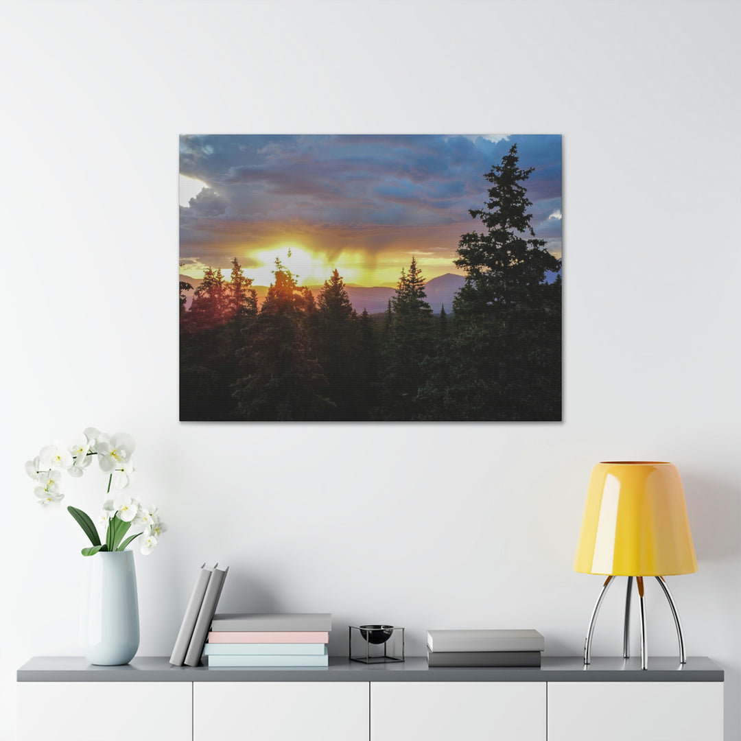 Rainy Sunset Through the Trees - Canvas