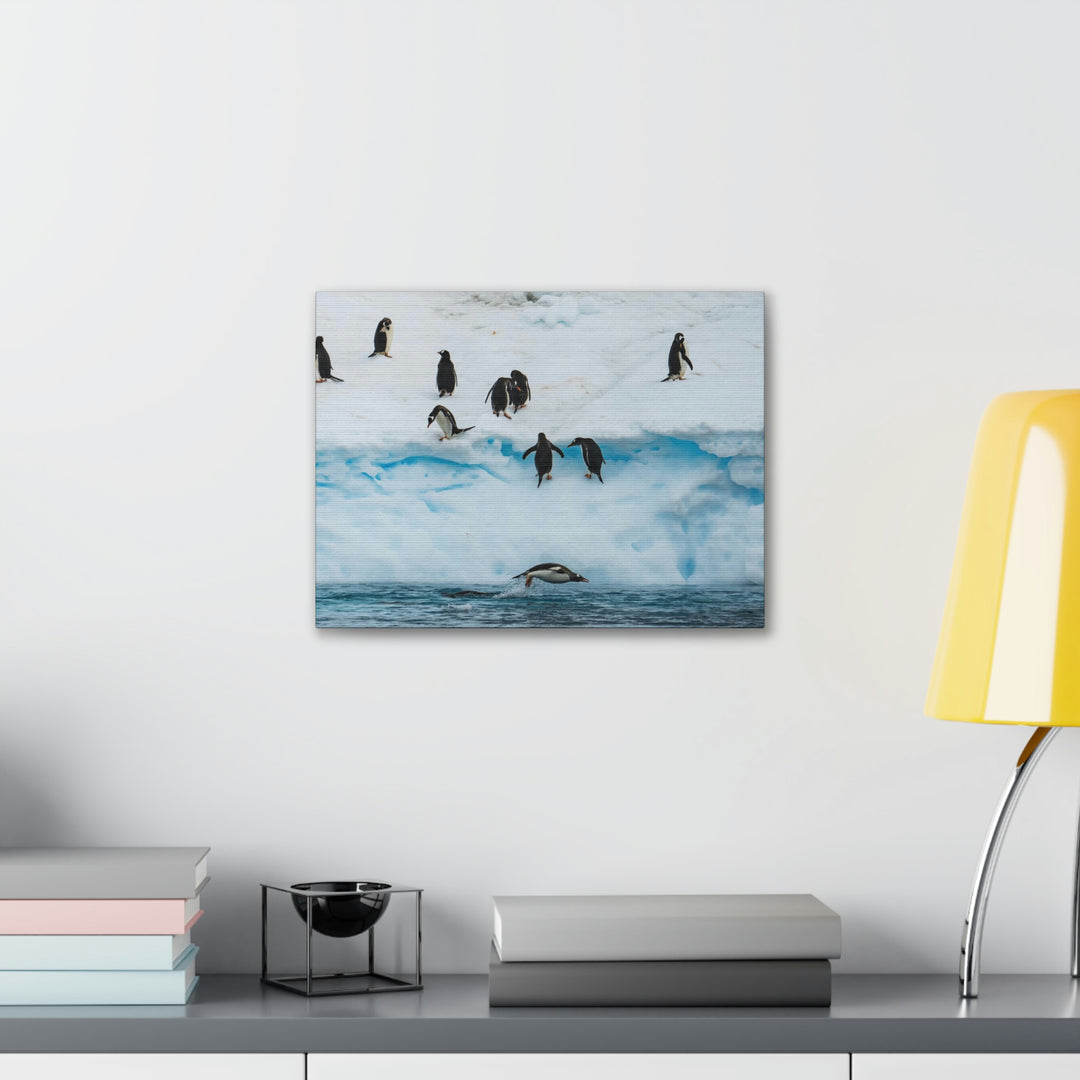 Porpoising Penguin - Canvas