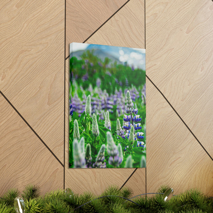 Glowing Lupin with Mountains - Canvas