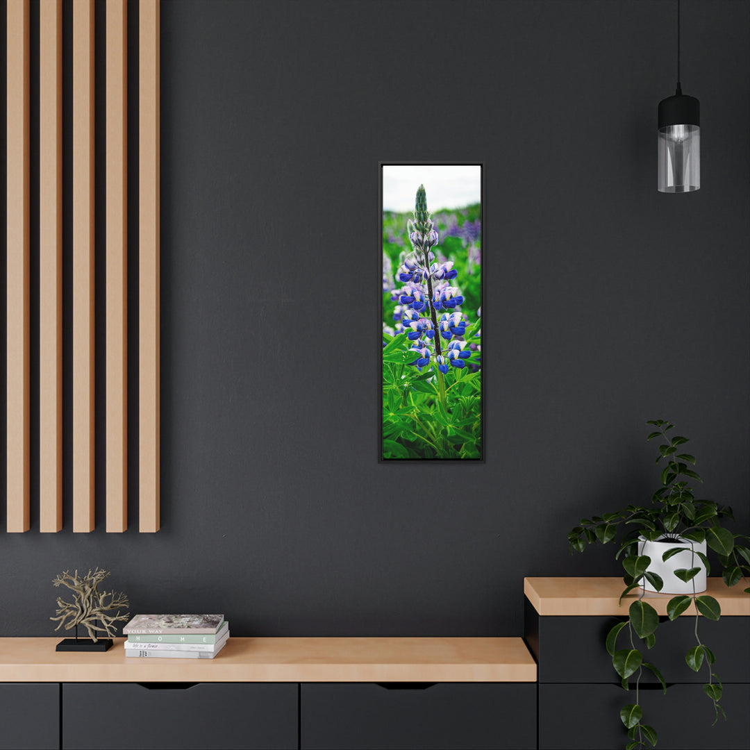 Glowing Lupin - Canvas with Frame