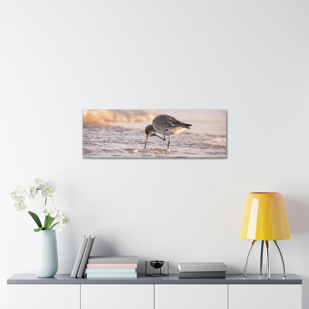 Willet Itch - Canvas