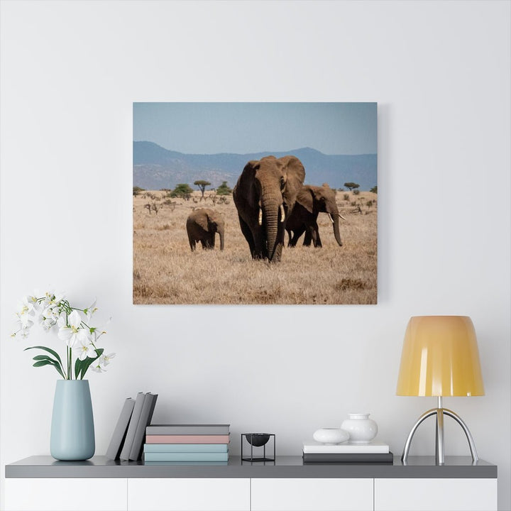 Family March - Canvas - Visiting This World