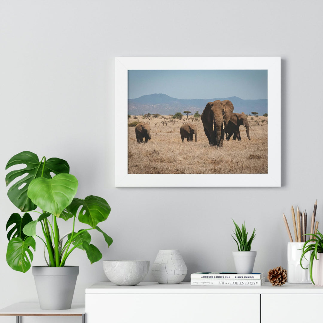 Family March - Framed Print - Visiting This World