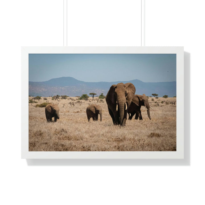 Family March - Framed Print - Visiting This World