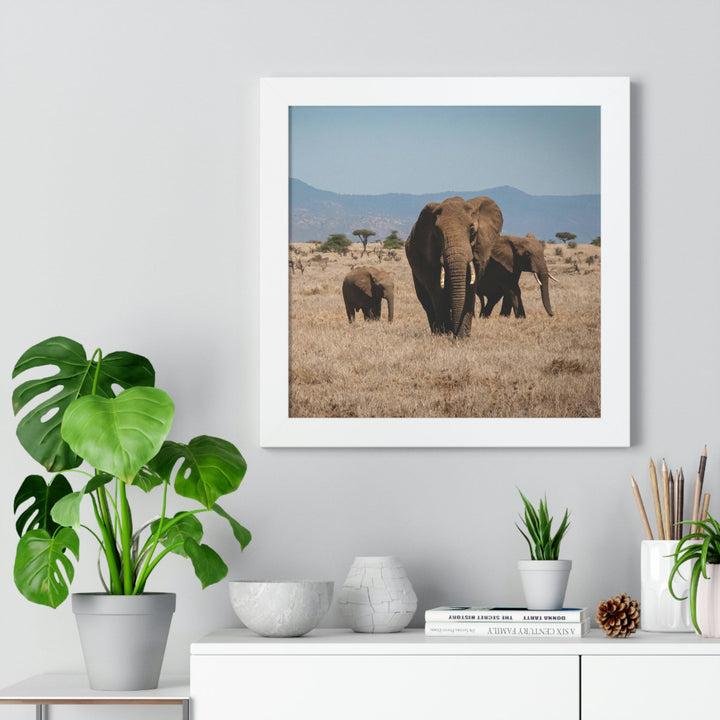 Family March - Framed Print - Visiting This World