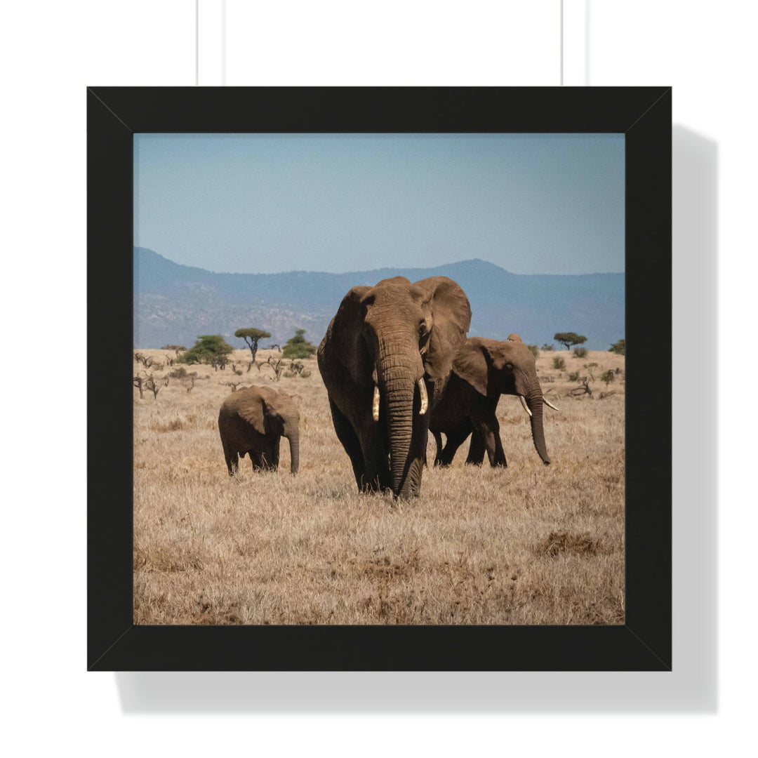 Family March - Framed Print - Visiting This World