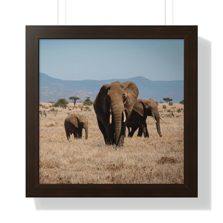 Family March - Framed Print - Visiting This World