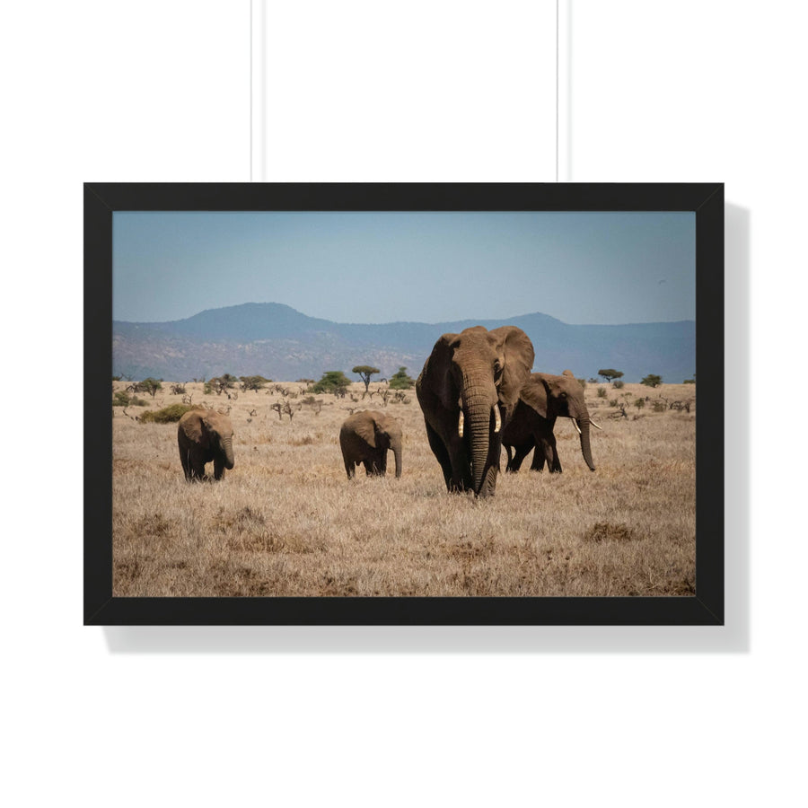 Family March - Framed Print - Visiting This World