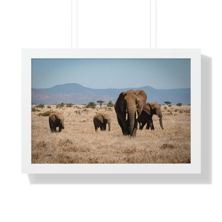 Family March - Framed Print - Visiting This World