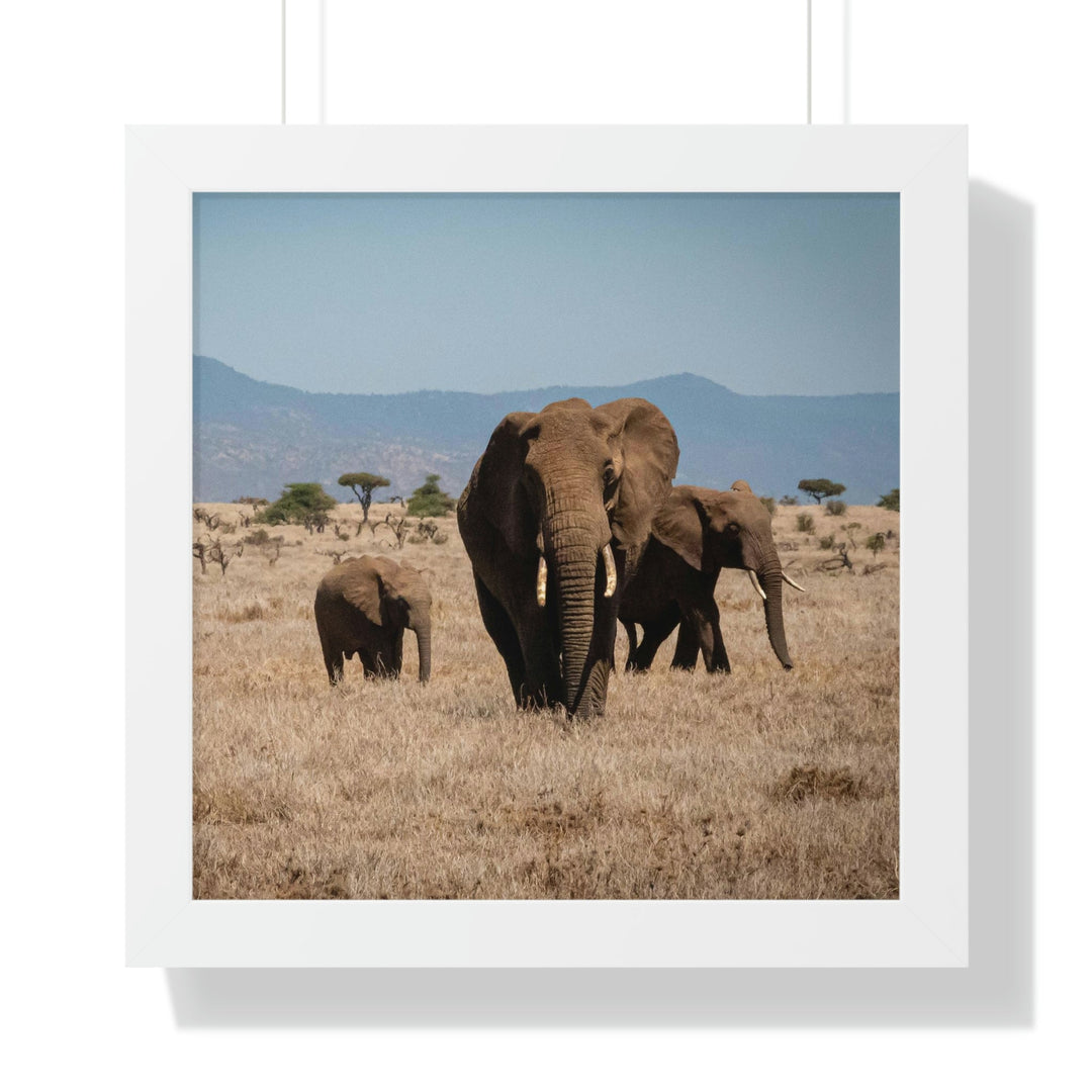 Family March - Framed Print - Visiting This World