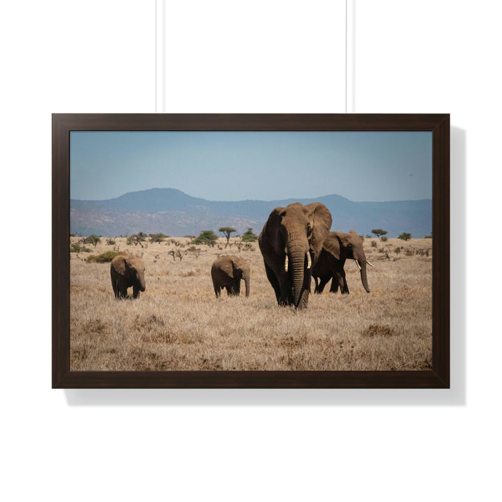 Family March - Framed Print - Visiting This World