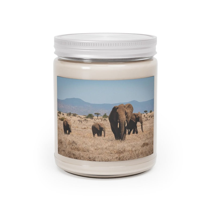 Family March - Scented Candles, 9oz - Visiting This World