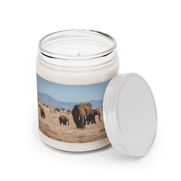 Family March - Scented Candles, 9oz - Visiting This World