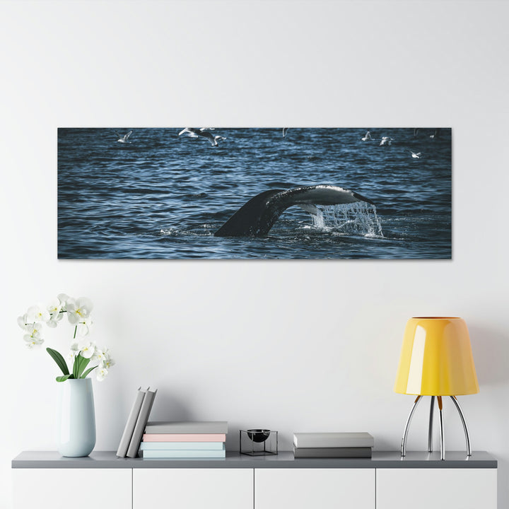 Feeding Tail - Canvas