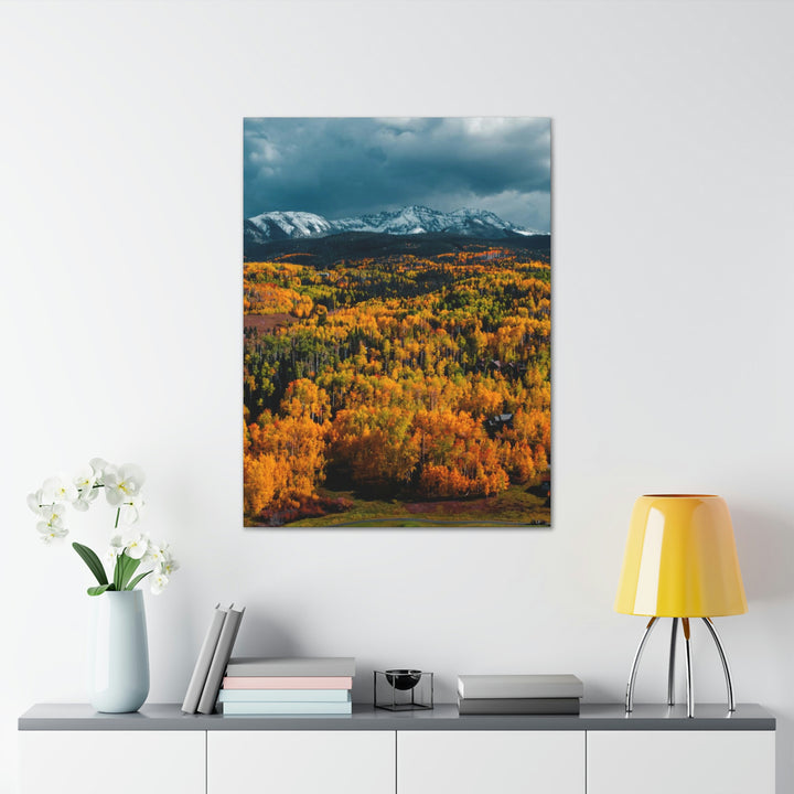 Golds of Autumn - Canvas