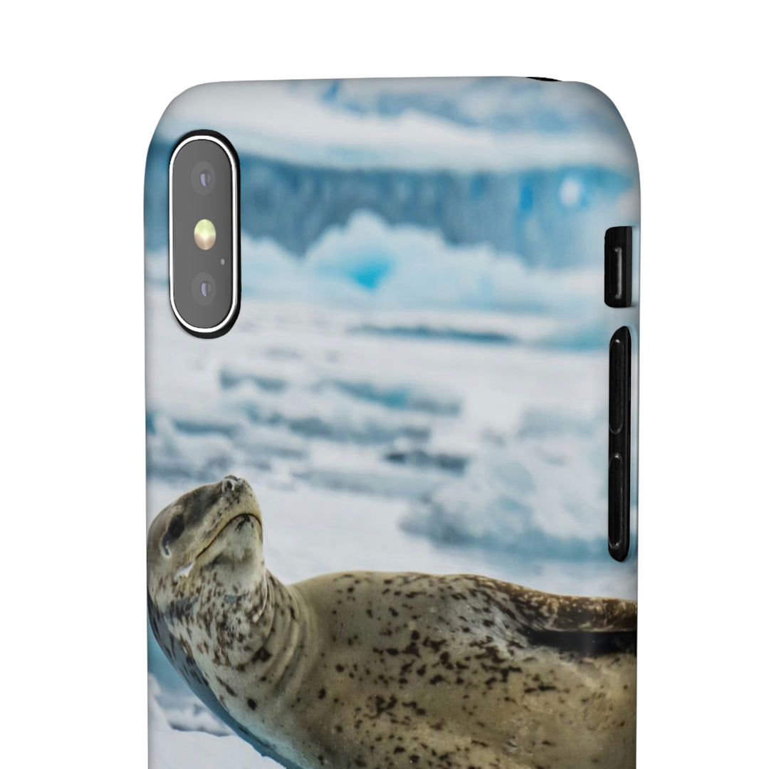 Leopard Seal Relaxing - Phone Case