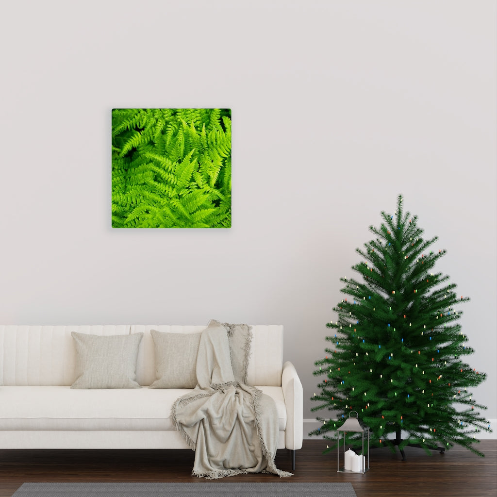 Ferns, Ferns, Ferns - Canvas