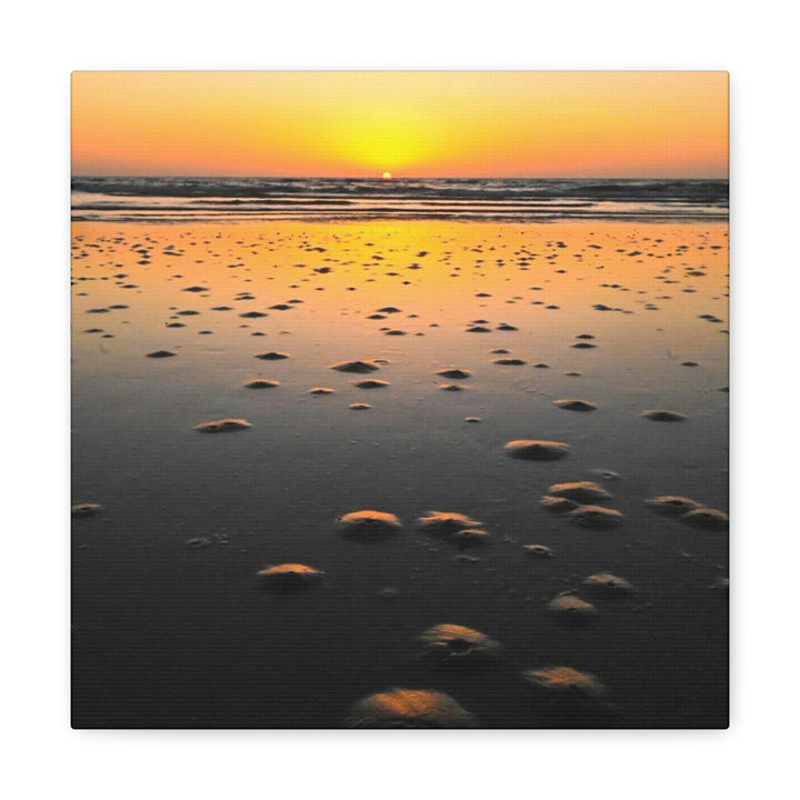 Burrows at Sunrise - Canvas