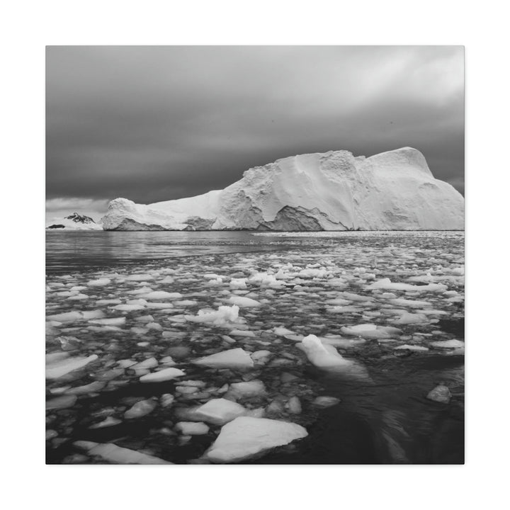 Lane of Ice In Black and White - Canvas