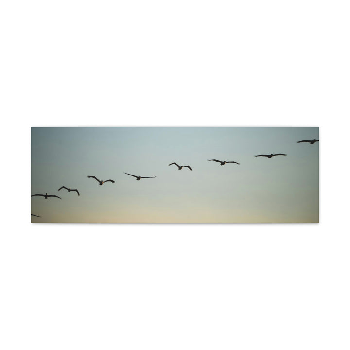 Brown Pelicans in Flight - Canvas