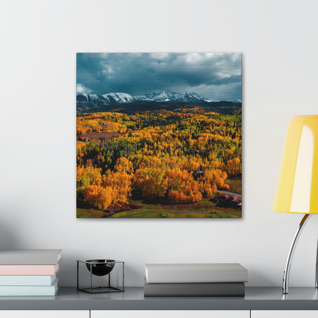 Golds of Autumn - Canvas