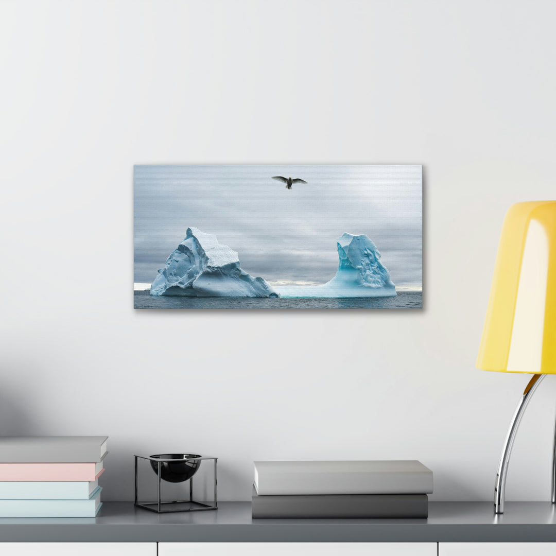 Antarctic Flight - Canvas