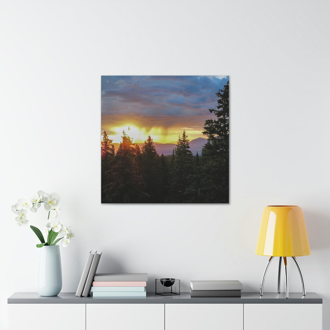 Rainy Sunset Through the Trees - Canvas