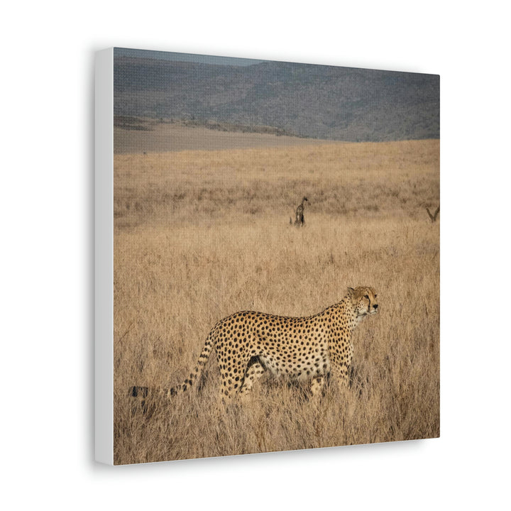 Regal Camouflage - Canvas