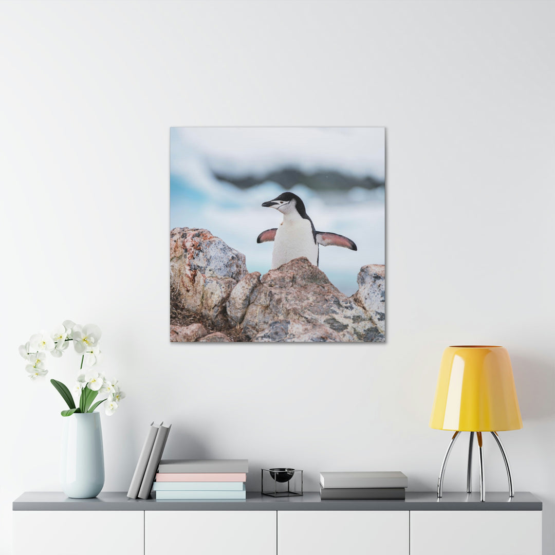 Stretched Penguin - Canvas