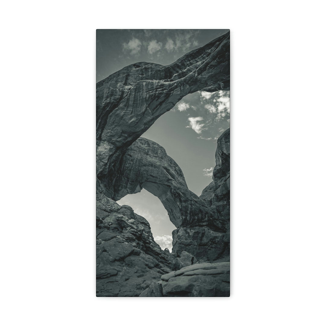 Natural Frames Part 4 in Black and White - Canvas