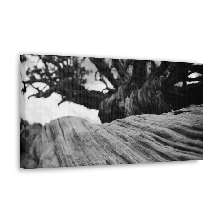 Desert Reach in Black and White - Canvas