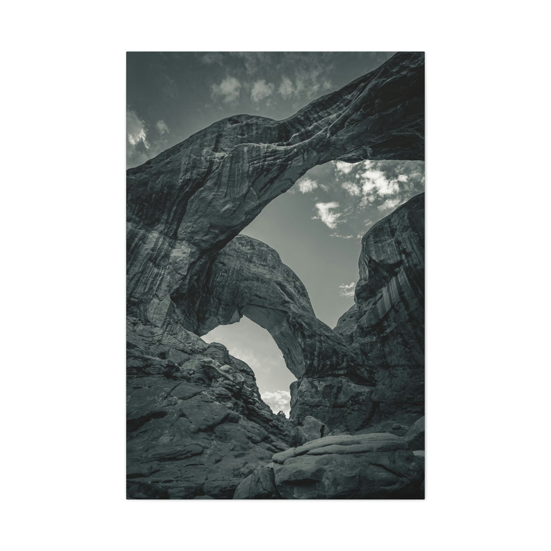 Natural Frames Part 4 in Black and White - Canvas