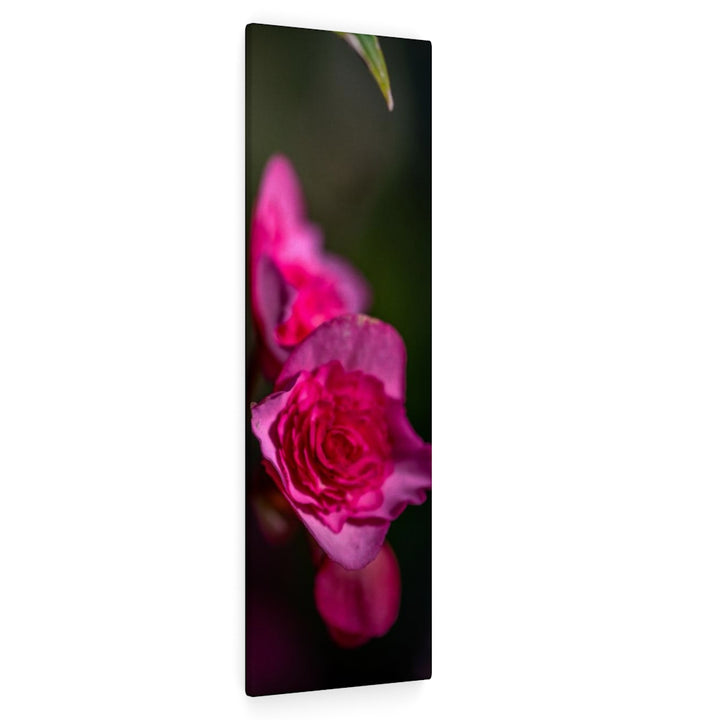 Hybrid Tea Lily - Canvas