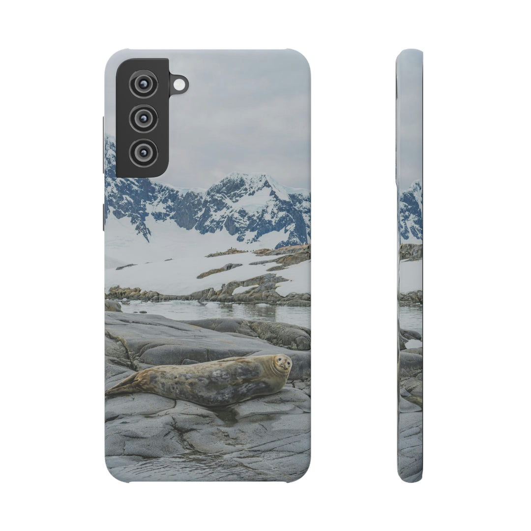 Weddell Relaxing - Phone Case