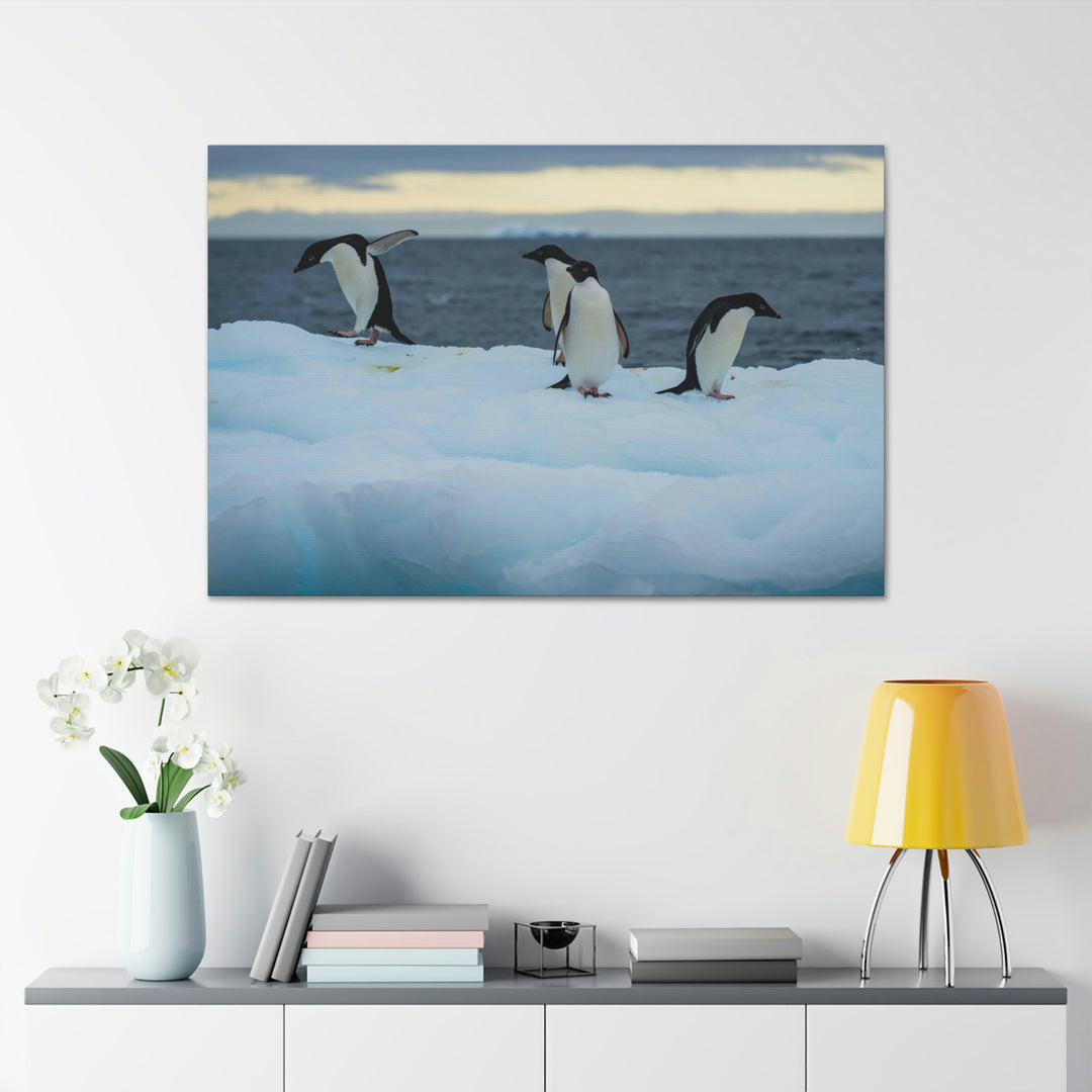 Penguin Dance - Canvas