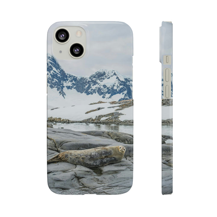 Weddell Relaxing - Phone Case