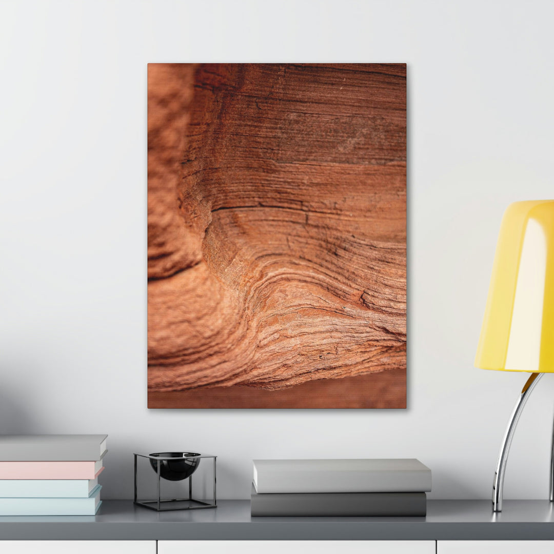 Sedimentary Rock Curves - Canvas