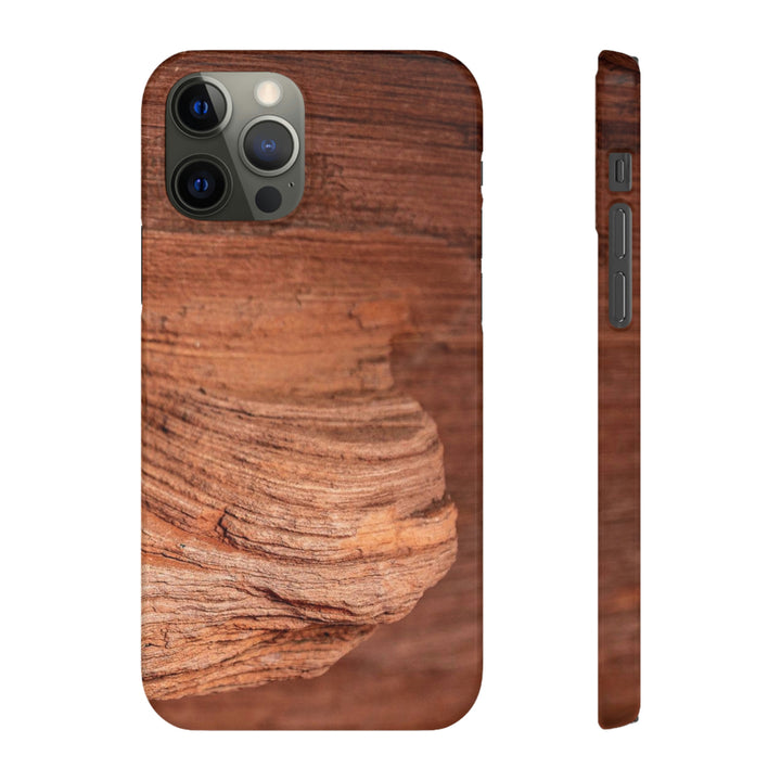 Sedimentary Rock Curves - Phone Case